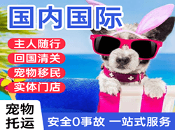 芜湖宣州机场快递国际宠物托运 【国